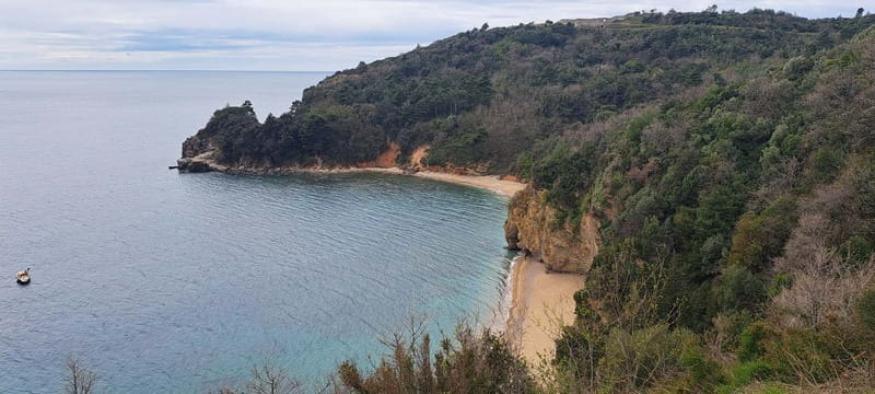 From Dubrovnik: Private Day Tour to Montenegro - Who Would Benefit Most