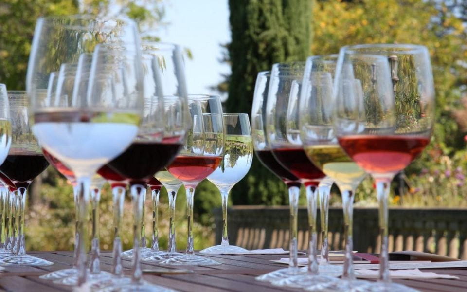 From Dubrovnik Private Wine Tasting Tour - Experience and Inclusions