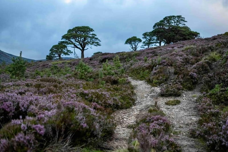 From Edinburgh: 4,000ft Mountain Hike - Scottish Highlands - What’s Included and What You’ll Need to Bring