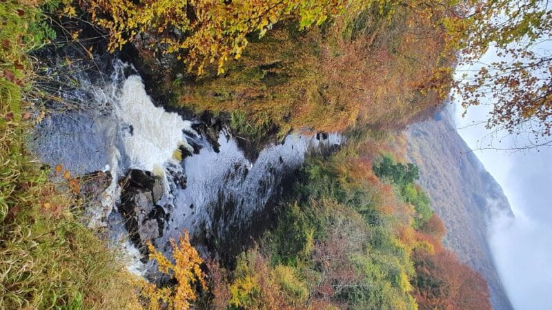 From Edinburgh: a Private Tour to a Majestic Highland Glen - The Majestic Glen Lyon and Its Hidden Treasures