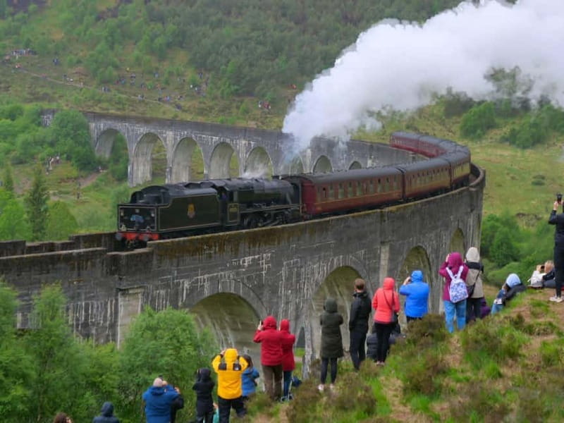 From Edinburgh: Glenfinnan, Fort William and Highland Cows - Practical Considerations and Value