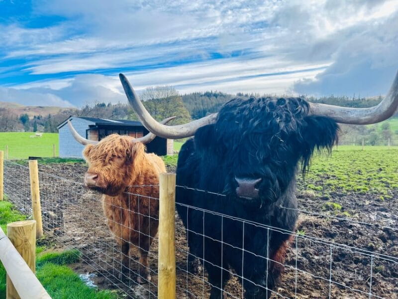 From Edinburgh: Loch Ness, Glencoe & The Highlands Day Trip - Key points / Takeaways