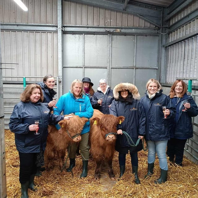 From Edinburgh: Scottish Highlands Full-Day Tour - Key points / Takeaways