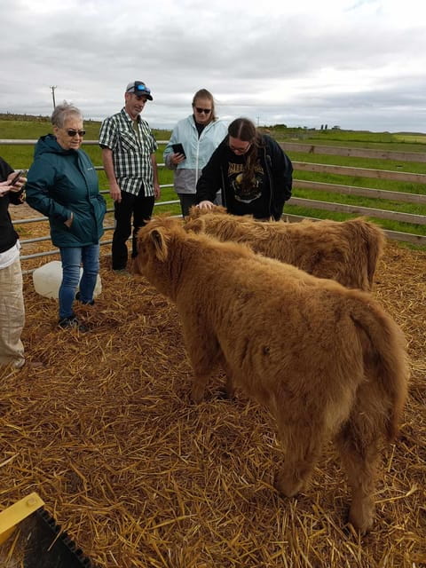 From Edinburgh: Scottish Highlands Full-Day Tour - The Sum Up: Who Is This Tour Best For?