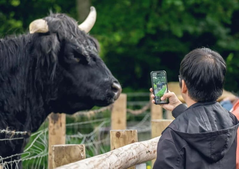 From Edinburgh: Stirling Castle, Kelpies and Loch Lomond - Key Points / Takeaways