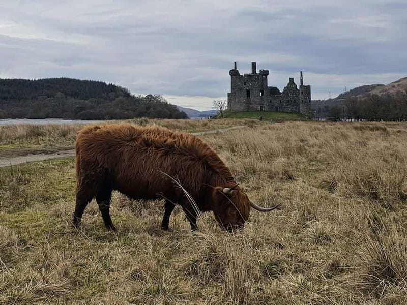 From Edinburgh: West Highlands Luxury Private Day Tour - Starting Out: A Scenic Drive from Edinburgh