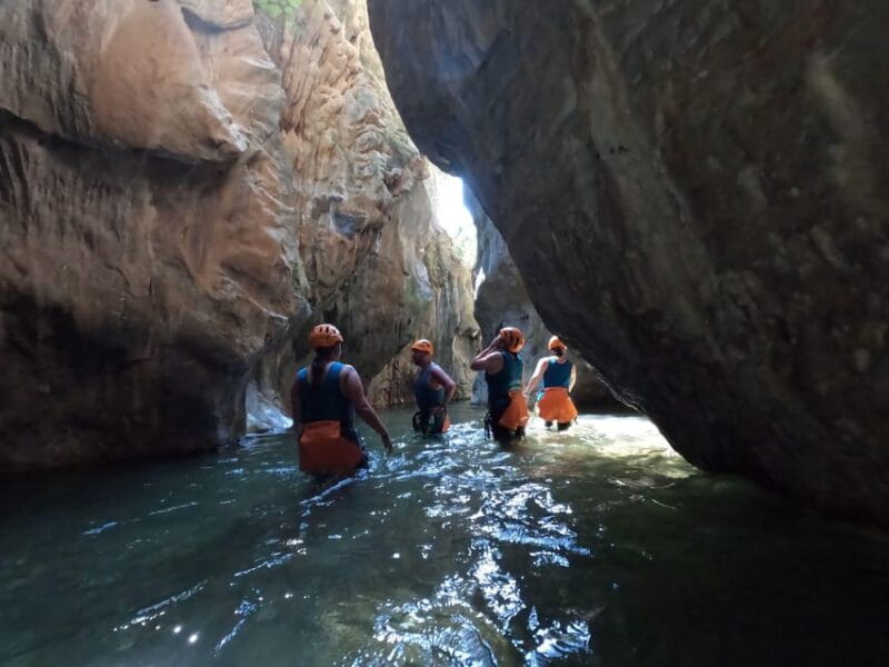 From Estepona: Guadalmina River Guided Canyoning Adventure - Who Will Love This Experience?