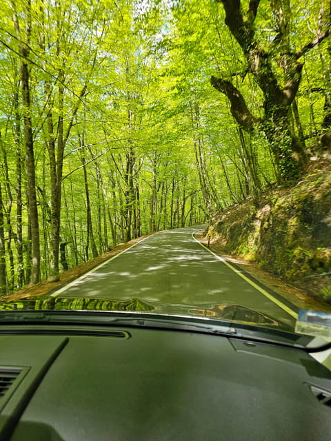 From Fafe: Full-day Tour in Gerês National Park - Key points / Takeaways