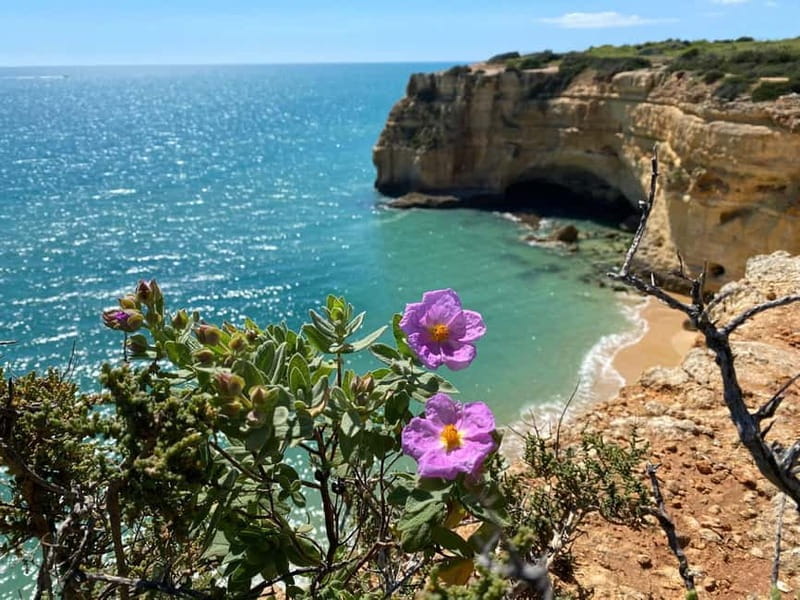 From Faro: Benagil Cave and Seven Hanging Valleys Trail Tour - Exploring Algar Seco and Coastal Caves