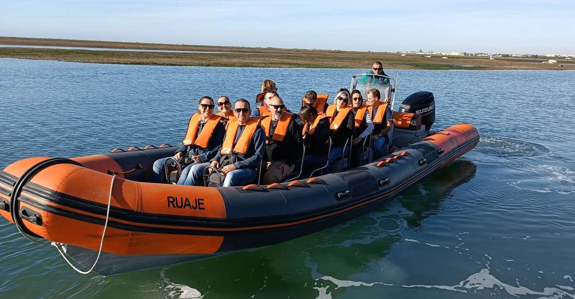 From Faro: Dolphin-Watching & Wildlife - Educational Component