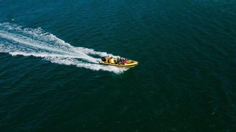 From Faro: Ria Formosa Hop-On Hop-Off 3 Islands Cruise - Key Points / Takeaways