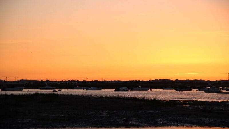 From Faro: Ria Formosa Sunset Boat Trip - Key points / Takeaways