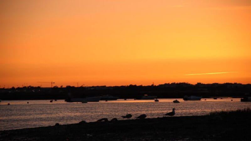 From Faro: Ria Formosa Sunset Boat Trip - FAQ Section