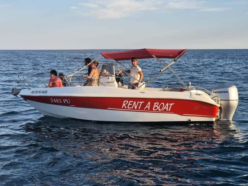 From Fazana Dolphin watching at sunset from a speedboat - Exploring the Details of the Dolphin Watching Experience in Fazana