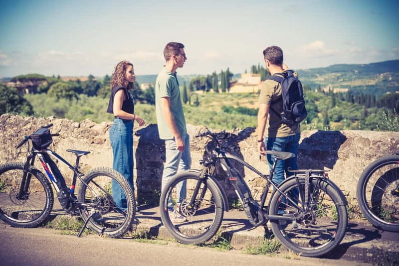 From Florence: Chianti E-Bike Tour with Organic Farm Lunch - Key Points / Takeaways