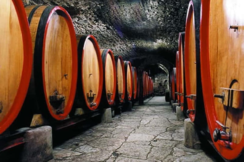 From Florence: Chianti Wine Tour with Driver-Guide - Who Might Not Enjoy It?