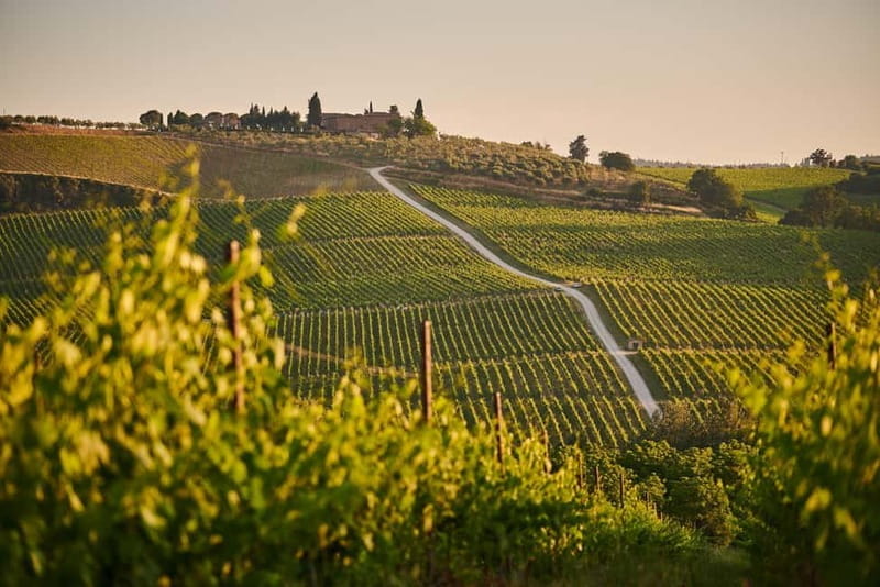 From Florence: Chianti Wine Tour with Driver-Guide - FAQ