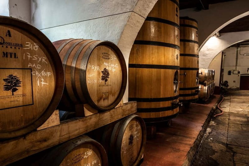 From Florence: Horse Ride and Wine Tour at Estate with Lunch - Price and logistics