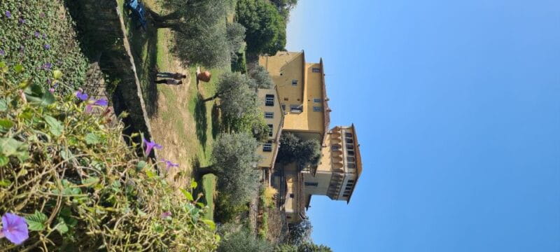 From Florence: Horseback Ride and Olive Oil and food tasting - Logistics and Practicalities