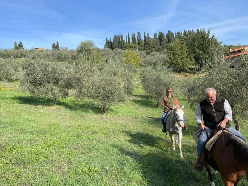 From Florence: Horseback Ride and Olive Oil and food tasting - Price and Value