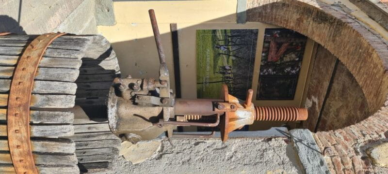 From Florence: Horseback Ride and Olive Oil and food tasting - FAQ