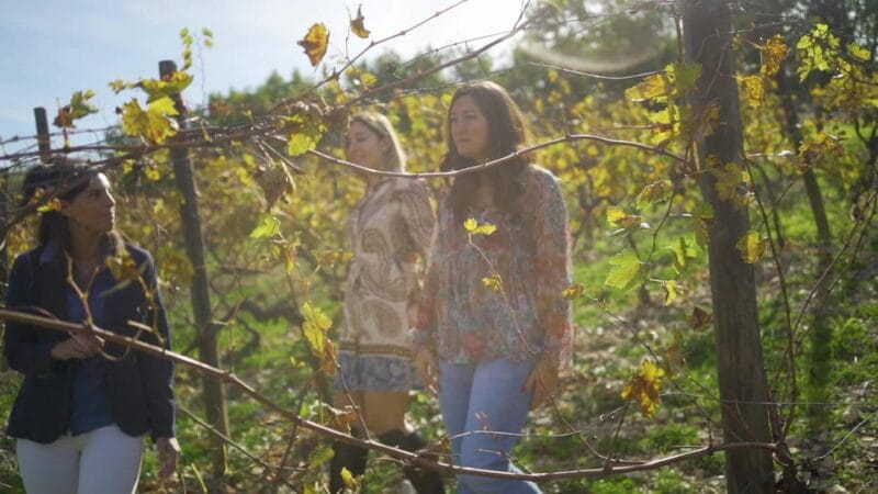 From Florence: Montepulciano, Montalcino & Cortona Day Trip - Key points / Takeaways