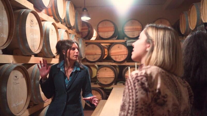 From Florence: Montepulciano, Montalcino & Cortona Day Trip - Montepulciano: Renaissance Elegance and Wine Tasting