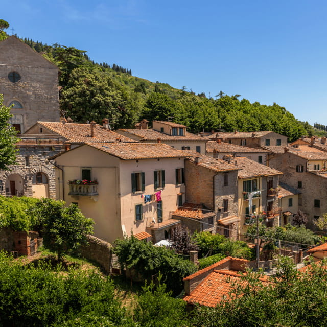 From Florence: Montepulciano, Montalcino & Cortona Day Trip - Who Will Love This Tour?