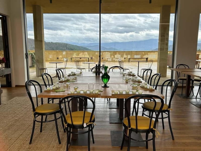 From Florence: Olive Oil Mill Tour and Tasting in Fiesole - Entering the World of Olive Oil Production