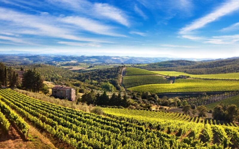 From Florence: Private Wine Tour with Dinner on an Estate - Key Points/Takeaways