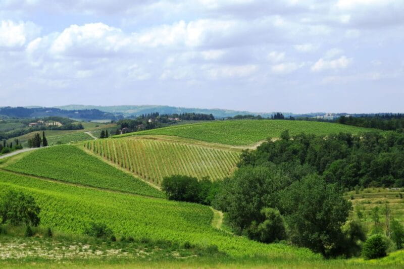 From Florence: Private Wine Tour with Dinner on an Estate - Tuscan Dinner: Savoring Local Flavors & Wines
