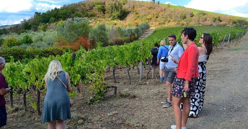 From Florence: Small-Group Chianti Wine Tour 2024 - Who Will Love This Tour?