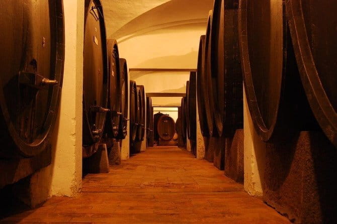 From Florence to Chianti Rufina: Wine Tasting Experience - Group Size and Logistics: What to Expect
