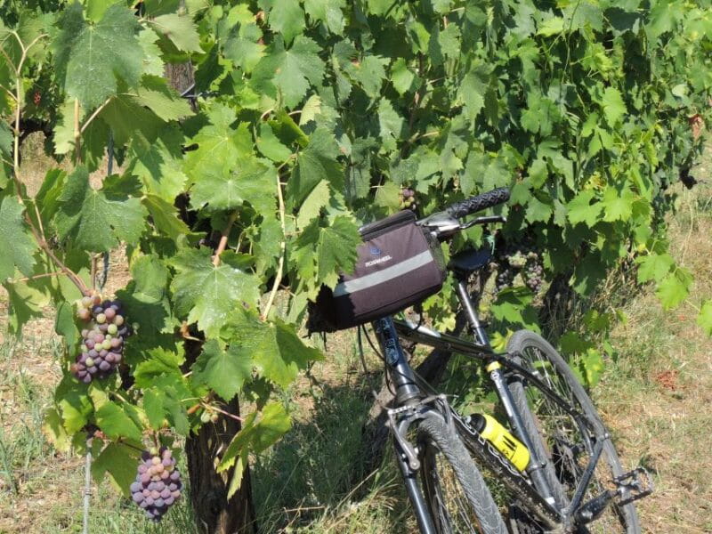 From Florence: Tuscan Hills Biking with Farm Tour and Lunch - Cycling Through the Chianti Hills