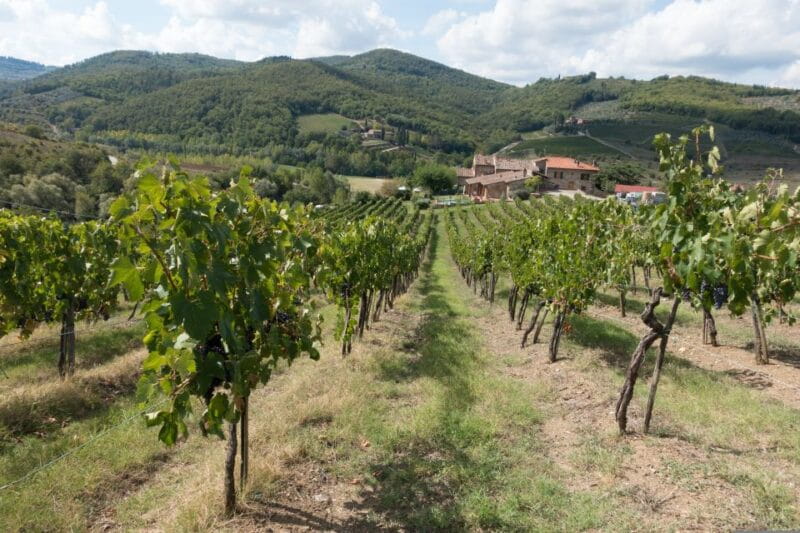 From Florence: Wine Tour in Siena and Tuscan Countryside - Analyzing the Cost and Booking Experience