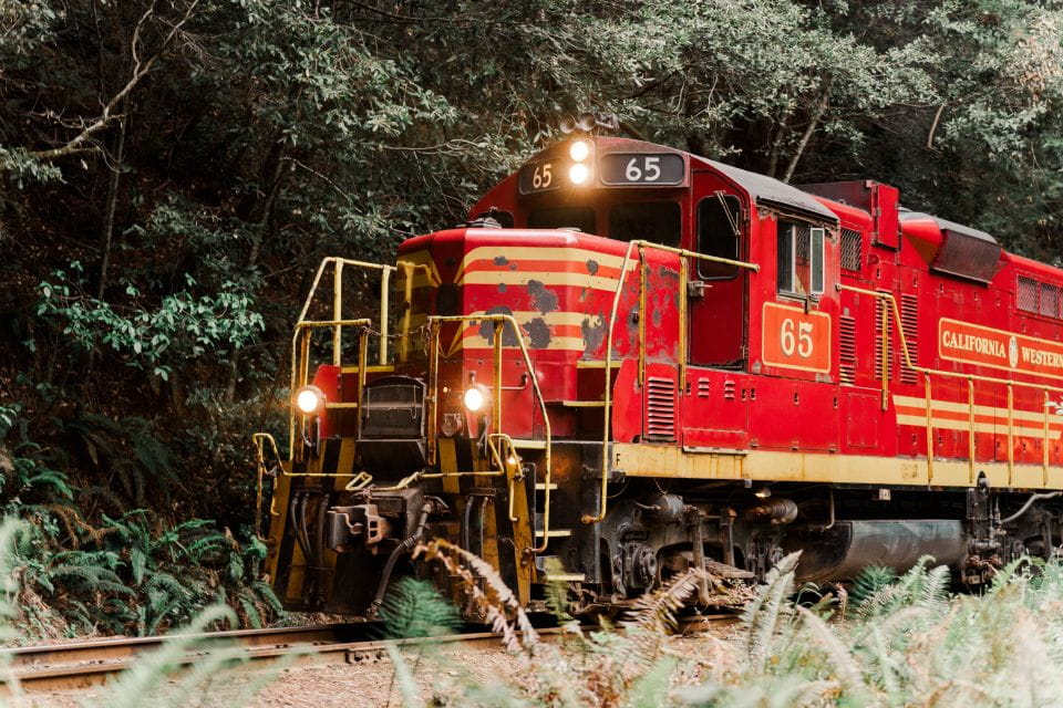 From Fort Bragg: Redwoods Train Ride and Nightclub Ticket - Key Points