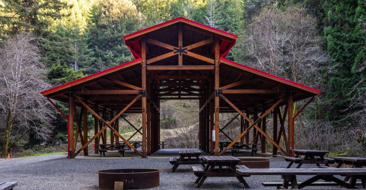 From Fort Bragg: Redwoods Train Ride and Nightclub Ticket - Experience Highlights