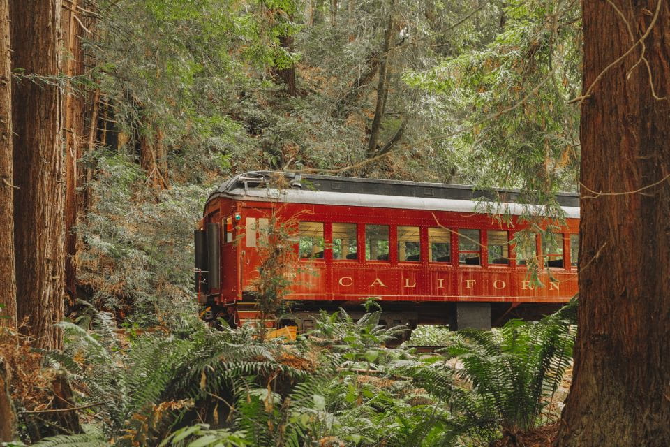 From Fort Bragg: Redwoods Train Ride and Nightclub Ticket - Redwoods Train Ride