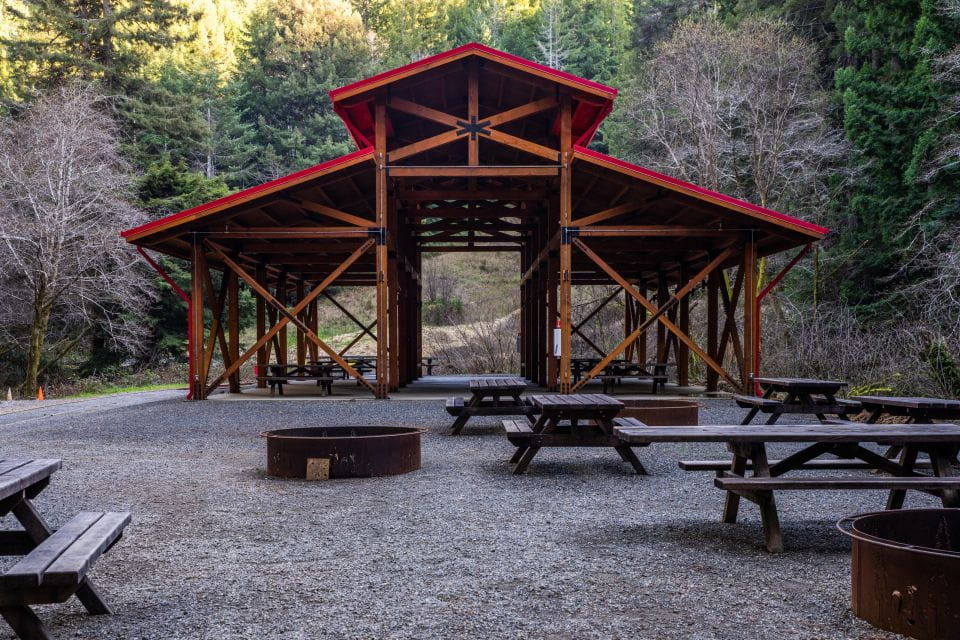 From Fort Bragg: Redwoods Train Ride and Nightclub Ticket - Customer Feedback