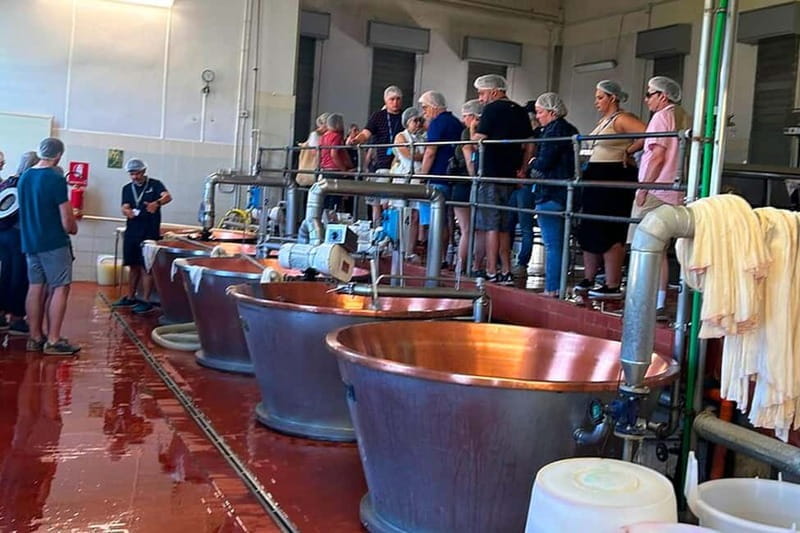 From Forte dei Marmi: Parmigiano, Prosciutto & Ferrari Tour - Discovering Parma’s Prosciutto Production