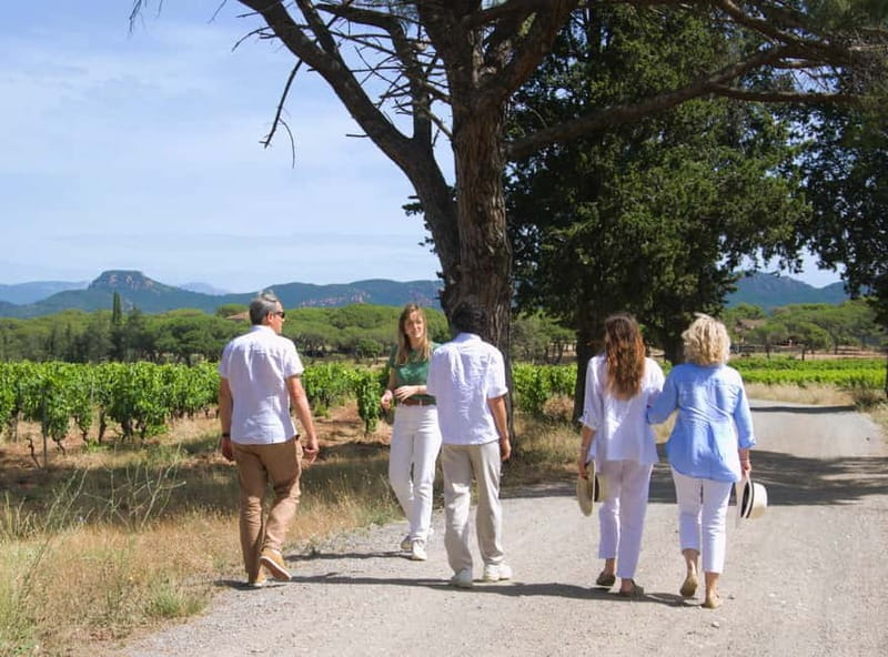 From Fréjus: Van tour to the heart of the Provençal vineyards - Visiting Three Var Vineyards: The Heart of Provençal Viticulture