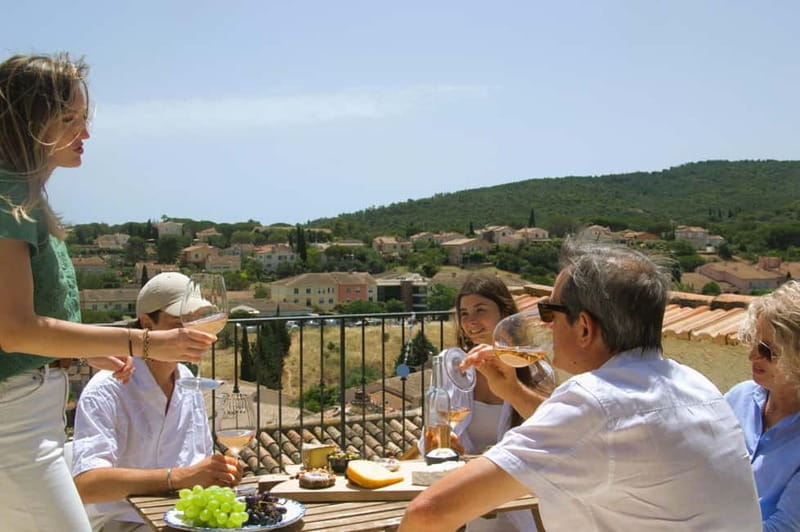 From Fréjus: Van tour to the heart of the Provençal vineyards - Final Words: Who Should Consider This Tour?