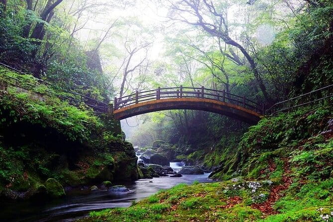 From Fukuoka: Day Trip to Miyazaki Takachiho Gorge & Shrine - Accessibility and Participation
