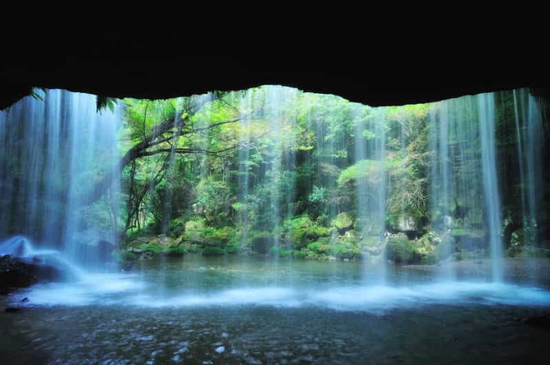 From Fukuoka: Private Customized Nature Tour of Kumamoto - Key Points