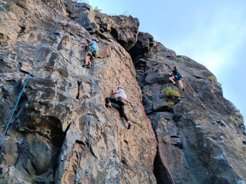 From Funchal: Guided Climbing Tour, with Pick-up - Who Is This Tour Perfect For?