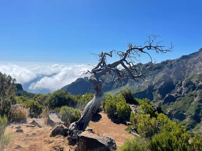 From Funchal: Transfer to Pico do Arieiro Trail - The Iconic Stairway to Heaven Trail: PR1