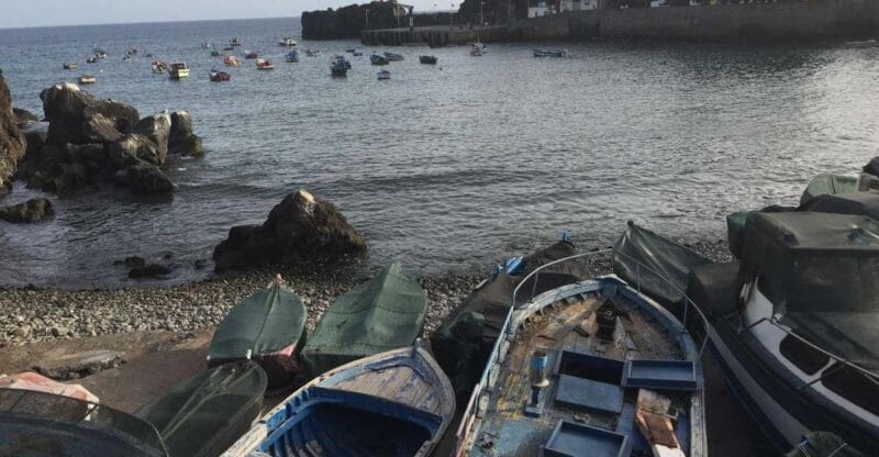 From Funchal: West Madeira and Laurel Forest Day Trip - Entering the Wilds of Madeira’s West Coast