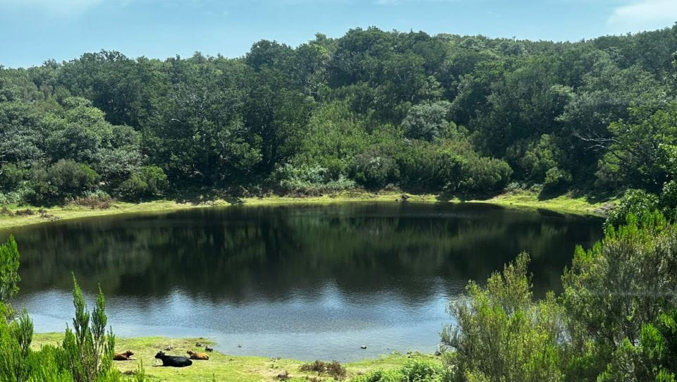 From Funchal: West Madeira Jeep 4x4 Day Tour With Pickup - Tour Duration and Group Size