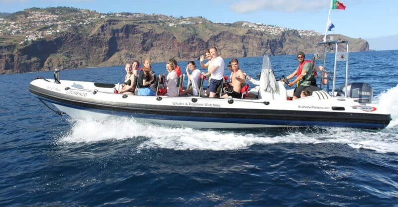 From Funchal: Whales and Dolphin Adventure Tour - Experience and Adventure: The Heart of the Tour