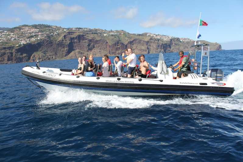 From Funchal: Whales and Dolphin Adventure Tour - The Thrill of a Speedboat Ride